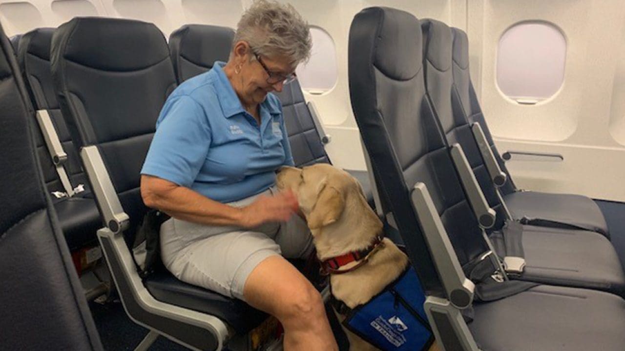 Mature Woman seated on airplane with her service dog who is providing her comfort and support.