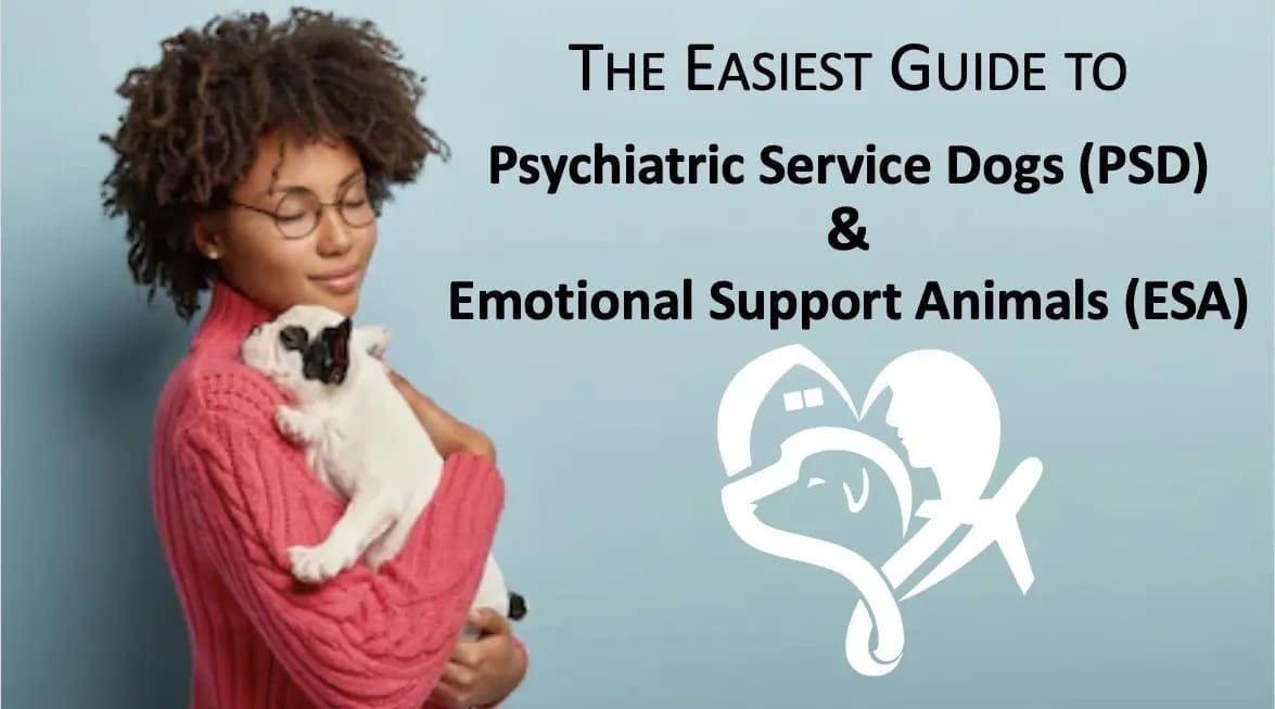 10 Year Anniversary Logo for TheraPetic