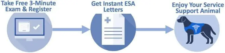 Collage showing guide dog, mobility dog, and medical alert dog