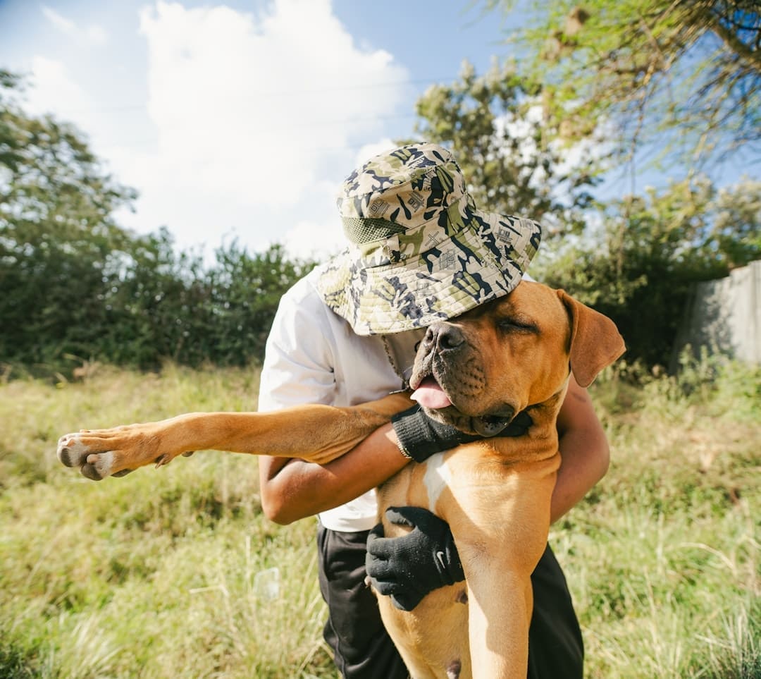 handler burnout — A man hugs a large dog outdoors.