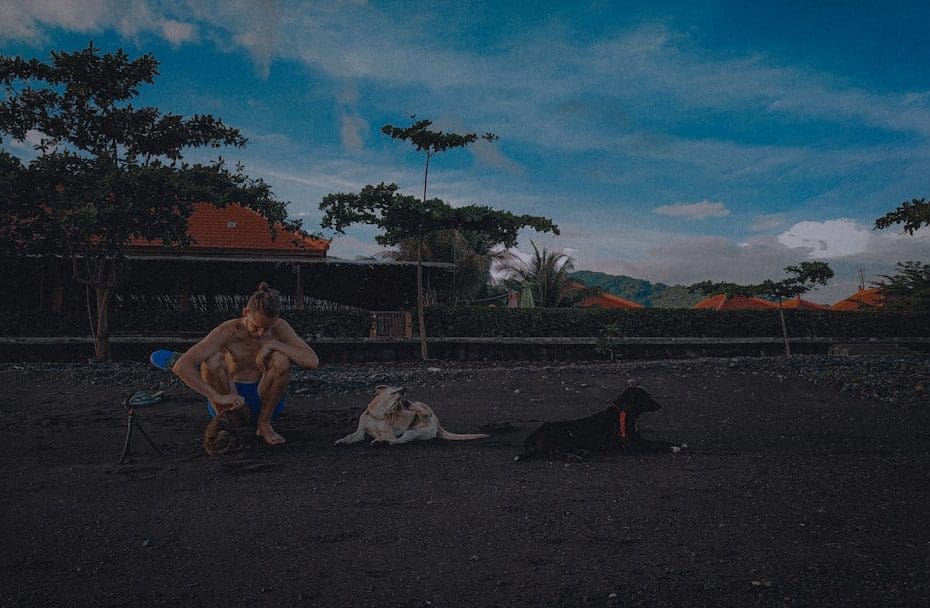 psychiatric service dog tasks — 15 Essential Psychiatric Service Dog Tasks: Complete Training Guide for Mental Health Support