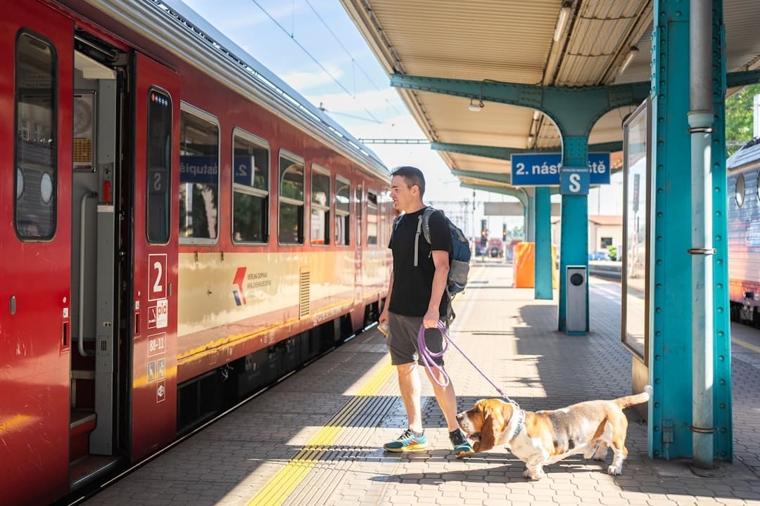 workplace rights — Man with dog waits for train at station.