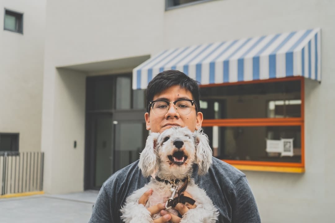 ADA service dog. Man in gray sweater holding white long coated dog