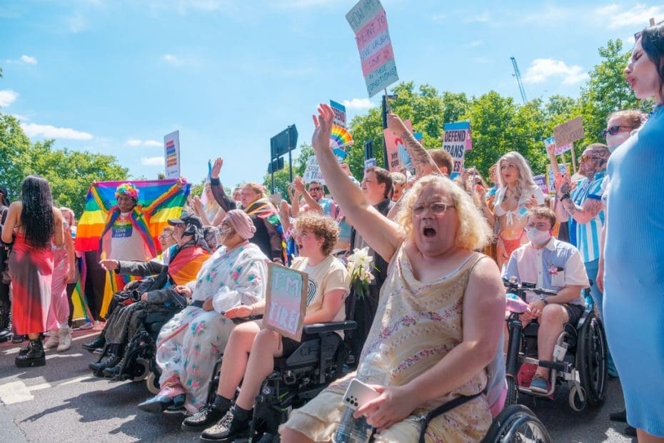 ADA service dog — 7 Essential ADA Service Dog Rights Every Handler Must Know in 2024