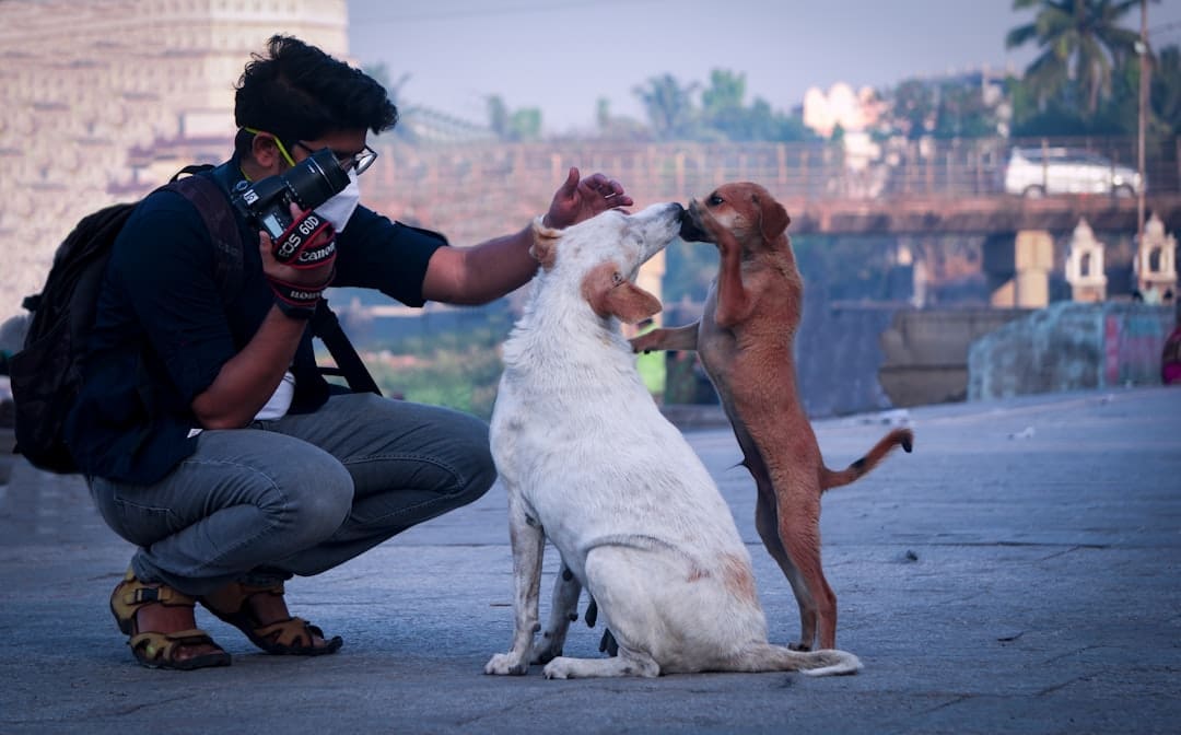 service dog retirement — a man taking a picture of two dogs