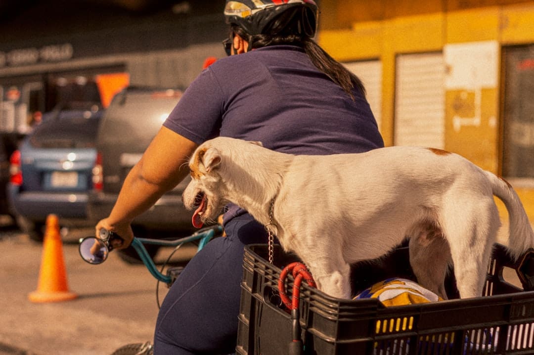 mobility assistance tasks — A woman rides her bike with a dog.